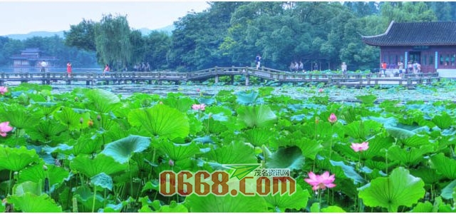 杭州西湖风景区.jpg