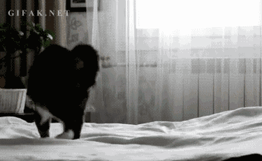6d039a5bb8f480fa0ccfdd1d2d9120b0.gif