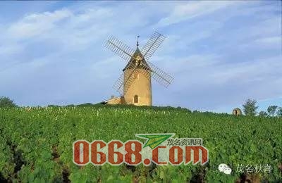 ff164b646853b5e4117f5296e468e999.jpg
