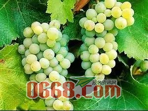 757ebf74cd102ee7b32f460e27c51025.jpg